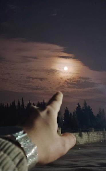 Pulsuz cins pişik sahiblendiren yazsin mene Sahiblenmek istiyrəm SORT