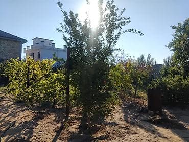 sabuncuda satılan evlər: Bakı, Sabunçu qəs., 80 kv. m, 3 otaqlı, Hovuzlu — 5
