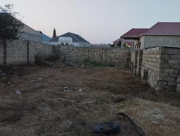 3 sot, Tikinti, Kupça (Çıxarış) — 2