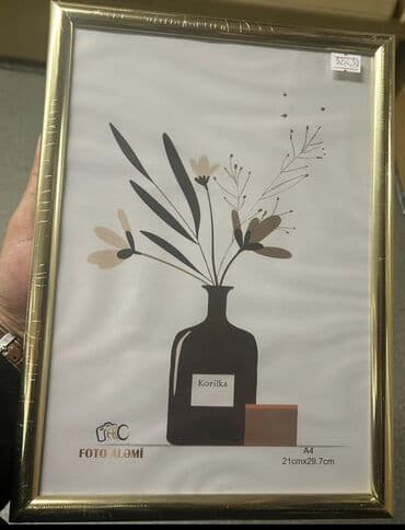 Alətlər: Çərçivə А4 (21 x 29.7 sm), Plastik — 6