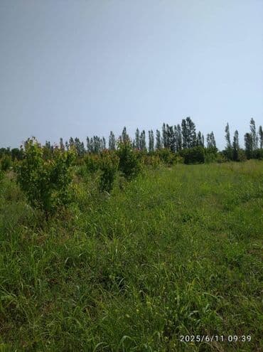 30 mine evler: 240 sot — 6