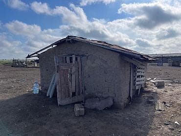 Tecili satilir ferma imisli rayonunda 115 h torpagi var daima kanal — 5