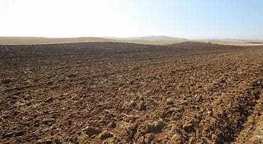 аренда земельных участков сельскохозяйственного назначения: Для сельского хозяйства, Коммунальные линии не подключены — 1