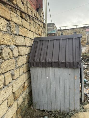 pitbull itlər: Taxta it evi / quşxana üçün kiçik tövlə - Material: taxta karkas — 3