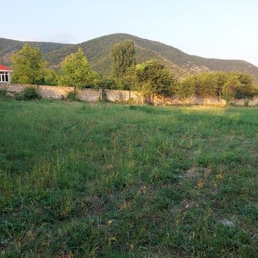 suraxani dede qorqud: 12 sot, Kənd təsərrüfatı, Barter mümkündür, Kupça (Çıxarış) — 2