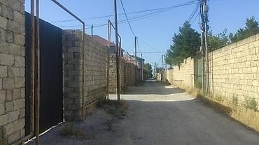3 sot, Tikinti, Mülkiyyətçi, Kupça (Çıxarış) — 2