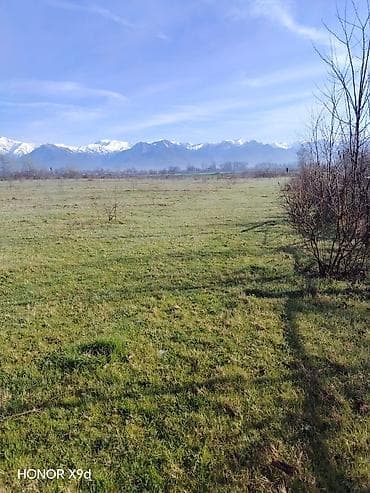 qebele torpaq: 30 sot, Kənd təsərrüfatı, Mülkiyyətçi, Texniki pasport — 3