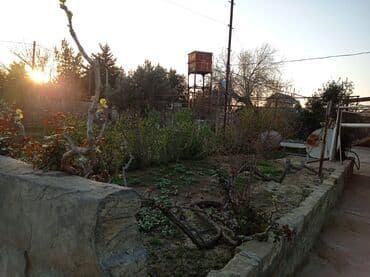 купить дачу в вишневке в баку: Дигях, 2300 м², 3 комнаты, Без бассейна, Артезианский колодец, Интернет, Электричество — 3