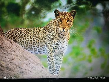 samsung mini notebook: HP Pavilion, 15.6 ", Intel Core i5, 512 GB — 10