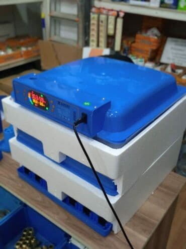 qirqovul satilir: Inkubator inkubatorlarin birinci əl satişi unversal inkubator 120 — 1