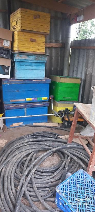 Işlənmiş boş arı yeşiyi.4luk taxtadan tikilib,sağlam yeşikdir.Çuruyu