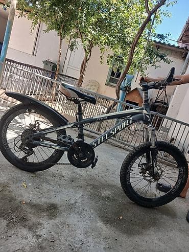 STELSPORT ZY100 uşaq/yeniyetmə dağ velosipedi - Çərçivə: alüminium — 2