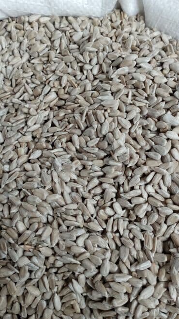 İçkilər: Məhsul: Günəbaxan tumu ləpəsi (qabıqsız) Təsvir: - Təmizlənmiş — 2