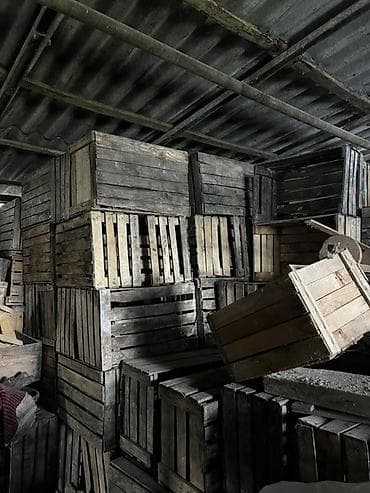 odunluq taxtalar: Alma yeşikləri meyvə bağı satıldığı üçün istifadə olunmur deye — 2