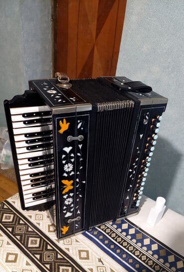 uşaq akkordeonu: Akustik Akkordeon — 1
