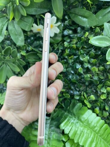 Apple iPhone: IPhone 8 Plus, 64 ГБ, Золотой, Отпечаток пальца — 3