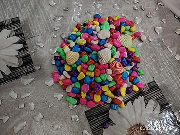 Pişiklər: Akvaryum dəsti - Şüşə akvaryum: düzbucaqlı forma, yuxarı və aşağı — 2