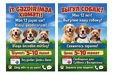 it mutexessis vakansiya: İt gəzdirilmə xidməti - Peşəkar şəkildə it gəzdirilməsi - Yaş: 12 - — 1