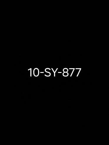 avto nomre alisi: Nömrə kombinasiyası: 10-SY-877 - Azərbaycan dövlət qeydiyyat nişanı — 1