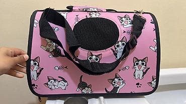 pişik gəncə: Türk anqora, Yaxşı əllərə — 5