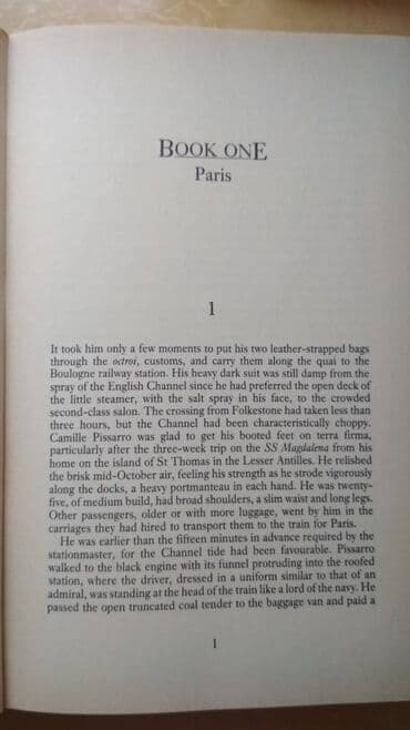 çizgi roman: Irving Stone "Depths of Glory". Van Qoq haqqında "Yaşamaq yanğısı" — 8