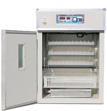 Inkubator inqibator inkibator inqubator Sənaye tipli inkubatorlar 1056 — 5
