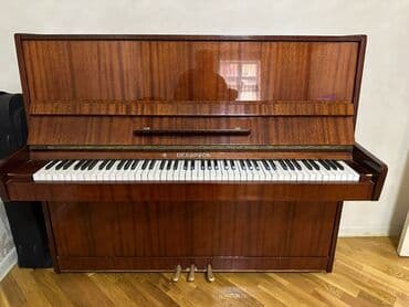 Piano, Belarus, Akustik — 1