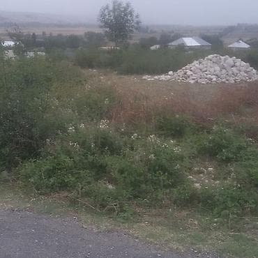 Həyət evləri və villalar: 12 sot, Tikinti, Barter mümkündür, Bələdiyyə — 3