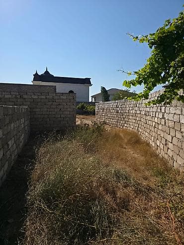 8 sot, Mülkiyyətçi, Kupça (Çıxarış) — 8