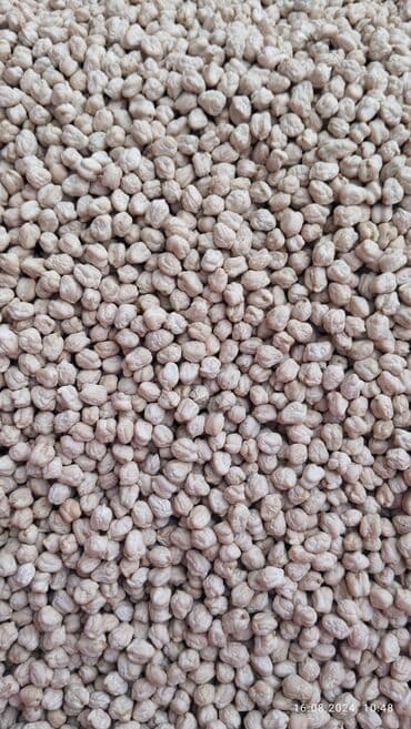 Nohud – təbii, çeşidlənmiş, rəngi açıq-bej, dənələri eyni ölçülü