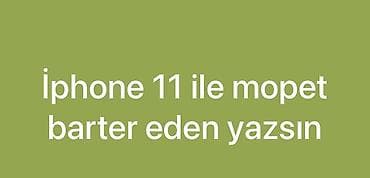 telfon iphone: IPhone 11 — 1