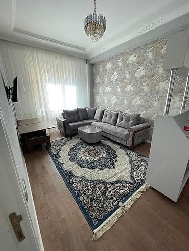 Xalça Dekorativ, Kredit yoxdur
