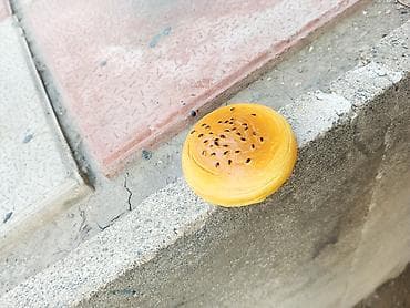 Güzgülər: Dekor sifarişi qəbul olunur minumum sifariş 1000 eded 1ededi 40 qəpik — 1