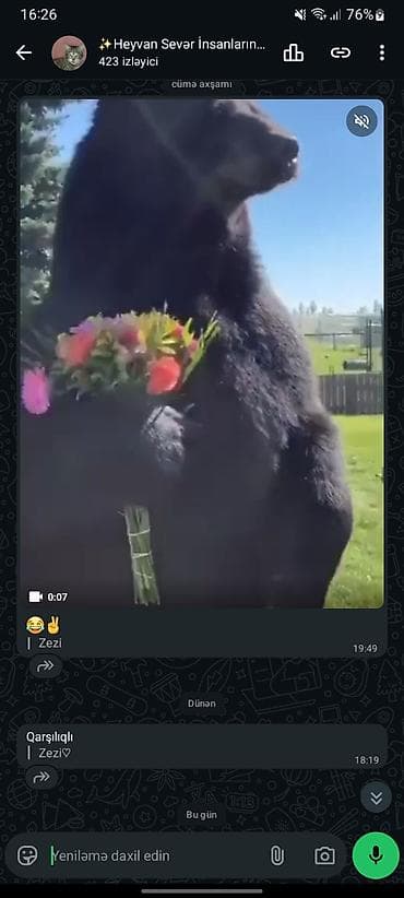 santexnik xirdalan: Satılır: WhatsApp kanalı - Mövzu: Heyvansevərlər üçün əyləncəli və — 1