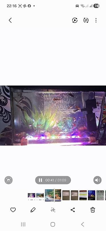 baliq tutanar: Akvaryum komplekti – dekorativ balıqlar və avadanlıqlarla - Şüşə — 2