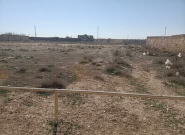 6 sot, Tikinti, Mülkiyyətçi, Kupça (Çıxarış)