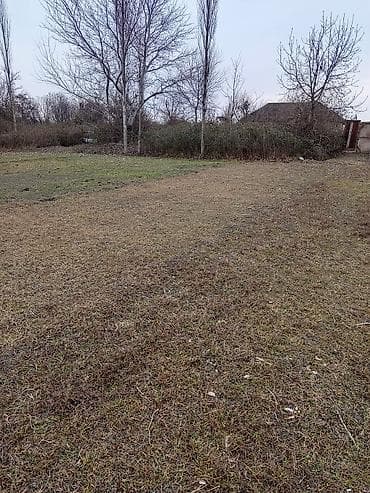 18 sot, Kənd təsərrüfatı, Makler, Kupça (Çıxarış) lalafo.az -da 18 sot, Kənd təsərrüfatı, Makler, Kupça (Çıxarış)