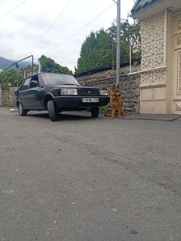 двигатель на гольф 3: Model: TOFAŞ ŞAHİN Kuzov: sedan, 4 qapı Rəng: qara Nömrə: 10-NL-119 — 9