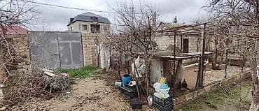 bineqedi heyet: Kənd təsərrüfatı — 3