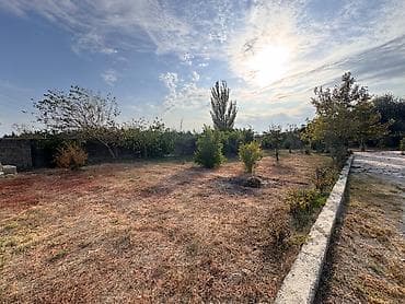 topaq: 4 sot, Mülkiyyətçi, Kupça (Çıxarış) — 8