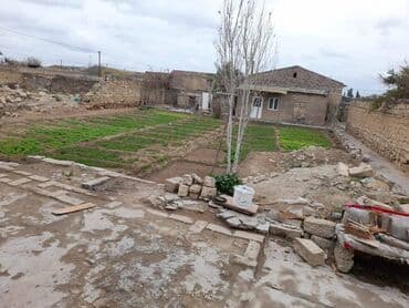 ferma torpaq: 6 sot, Makler, Bələdiyyə — 4