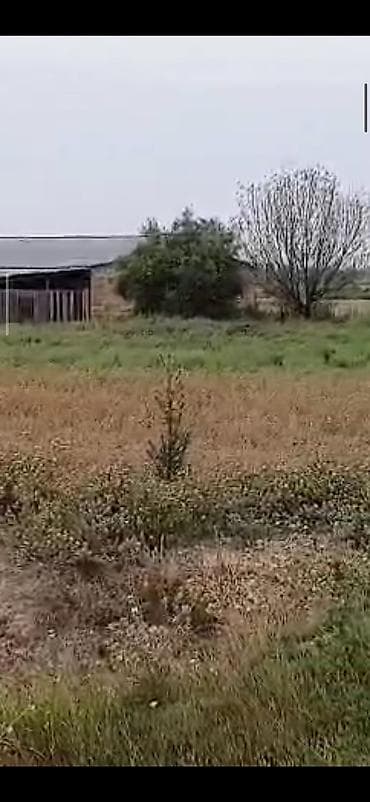 Metal fermalar: Ferma və təsərrüfat kompleksi - Heyvandarlıq üçün tikililər: uzun — 3