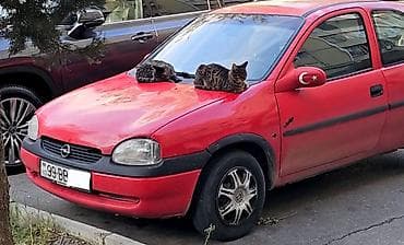 bmw x5 satilir: Opel Corsa: 1.4 l | 1997 il 400000 km Hetçbek — 3