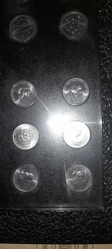 Somali 2007 ci il.il və ay burcler hesr llunmuș monetler.24 eded — 3