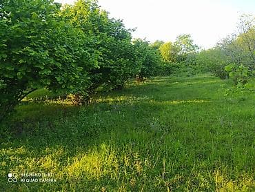 kohne ev: 56 sot, Tikinti, Barter mümkündür, Kupça (Çıxarış) — 4