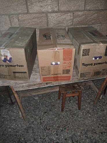 Sifarişlə hazır yeməklər: Serebris və yerli toyuqlar yumurtası satılır 95% mayalı Səlyan rayonu — 2