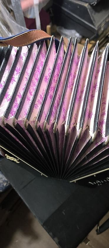 akkardeon: Akustik Akkordeon, Yeni — 8