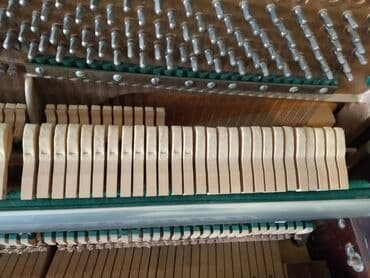 rönisch piano: Пианино, Rönisch, Акустический, Б/у, Самовывоз, Платная доставка — 7