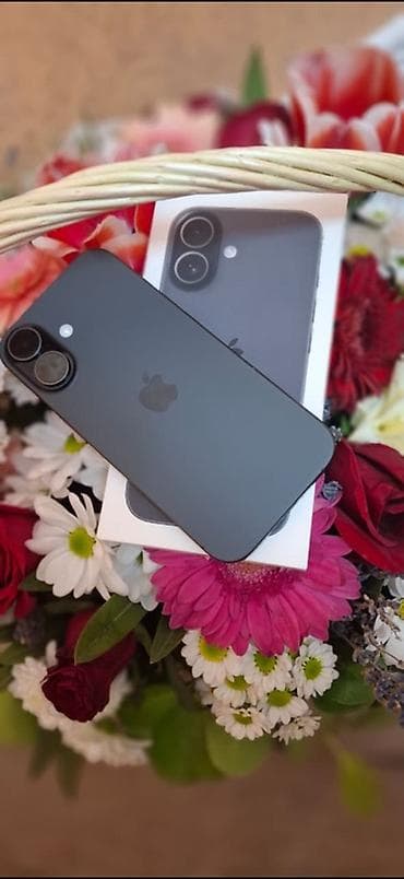 apple komputer: IPhone 17, 256 GB, Natural Titanium, Face ID — 1