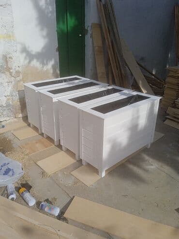 orkide qiyməti: Dibçək və dibçək atlıqlarının sifarişlə hazırlanması Qiymət minimum — 6